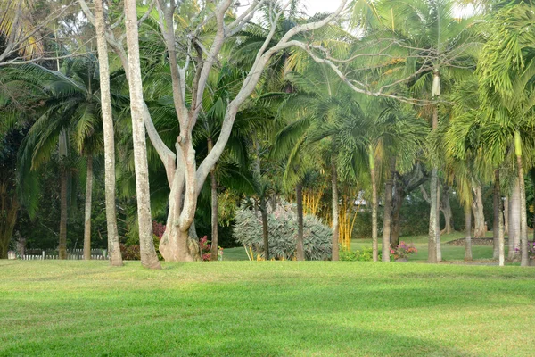 Afrika, schilderachtige gebied van La Pointe Aux Canonniers in Mauritiu — Stockfoto