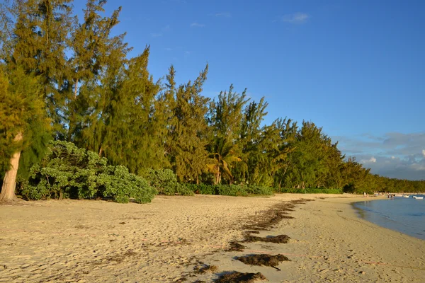 Pittoresca zona della Pointe aux canonniers a Mauritius — Foto Stock