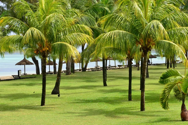 Festői terület a la Pointe aux canonniers Mauritius — Stock Fotó