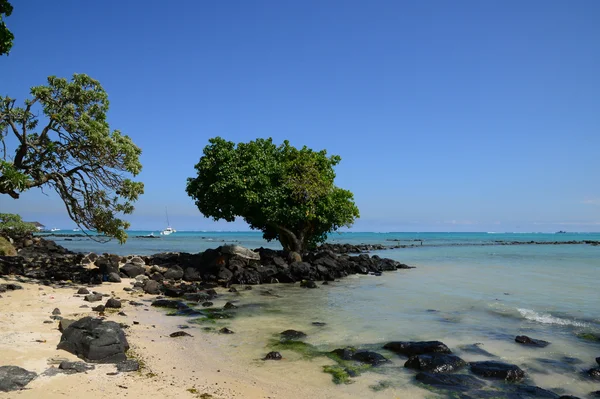 África, área pitoresca de La Pointe Aux Canonniers em Mauritiu — Fotografia de Stock