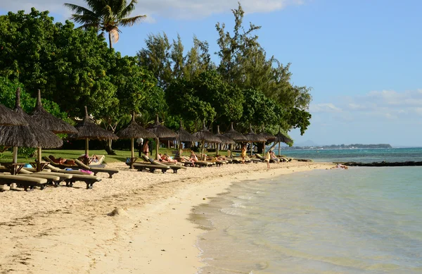 Afrika, festői szépségű területen a Mont Choisy Mauritius — Stock Fotó