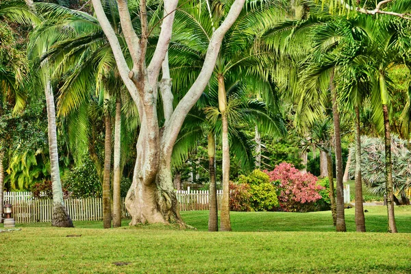 África, pintoresca zona de La Pointe Aux Canonniers en Mauricio — Foto de Stock