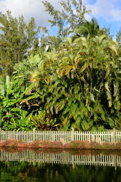 Afrika, malerische gegend von la pointe aux canonniers in mauritiu — Stockfoto