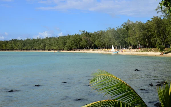 Africa, pittoresca zona di Mont Choisy a Mauritius — Foto Stock