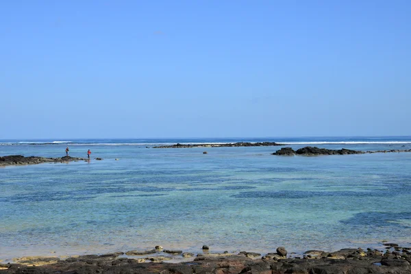 Afrika, schilderachtige gebied van Mont Choisy in Mauritius — Stockfoto