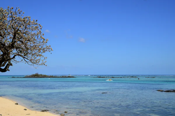 Afrika, festői szépségű területen a Mont Choisy Mauritius — Stock Fotó