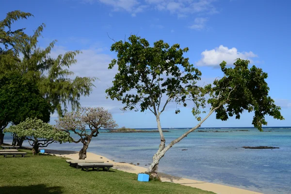 Picturesque area of la Pointe aux canonniers in Mauritius — Stock Photo, Image