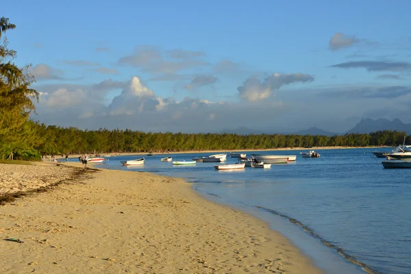 风景如画的拉普安特 aux canonniers 在毛里求斯的地方 — 图库照片