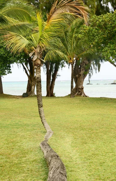 Αφρική, τη γραφική περιοχή της La Pointe Aux Canonniers σε Mauritiu — Φωτογραφία Αρχείου