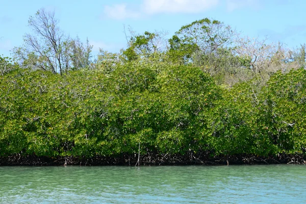 África, pintoresca aera de Blue Bay cerca de Mahebourg —  Fotos de Stock