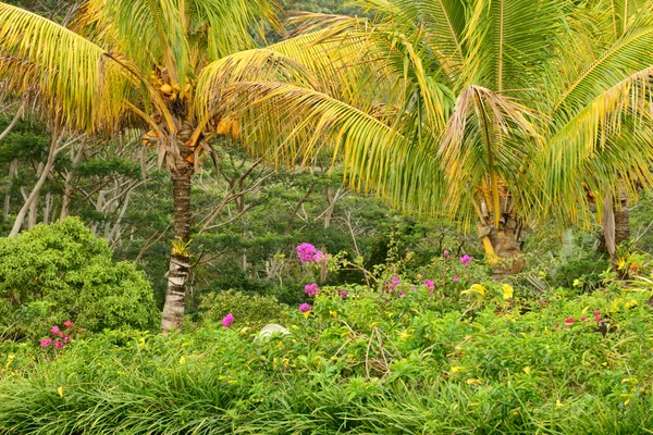 Afrika, krajina Chamarel na ostrově Mauritius — Stock fotografie