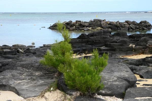 La Pointe aux canonniers Mauritius pitoresk alanı — Stok fotoğraf