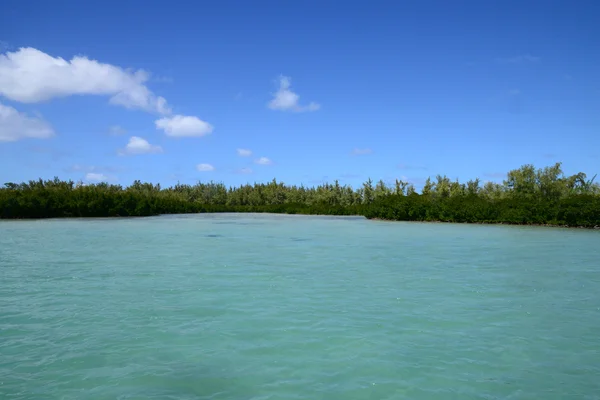 África, pitoresca aera de Blue Bay perto de Mahebourg — Fotografia de Stock