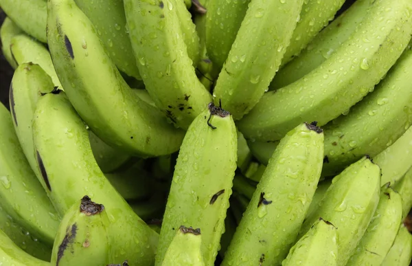 Banana — Fotografia de Stock