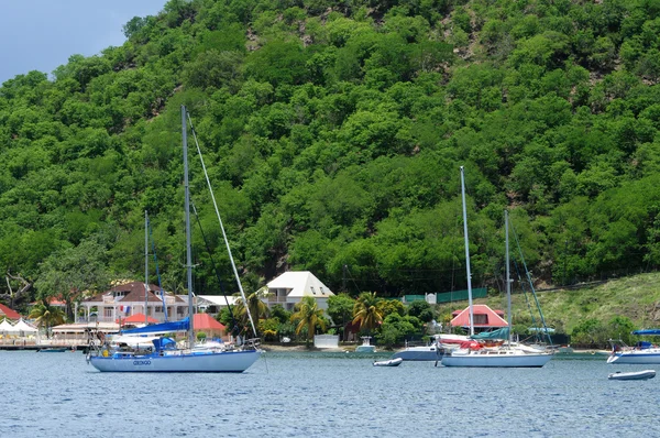 Přímořské les saintes Guadeloupe — Stock fotografie