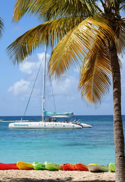 Frankrike, sainte anne i guadeloupe — Stockfoto