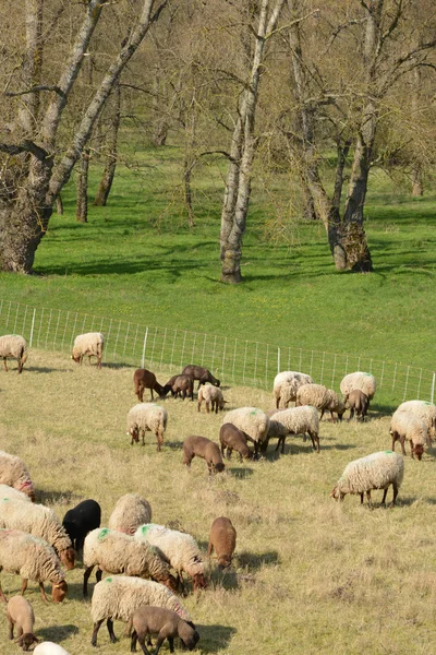 Malebné město Briare v regionu loiret — Stock fotografie