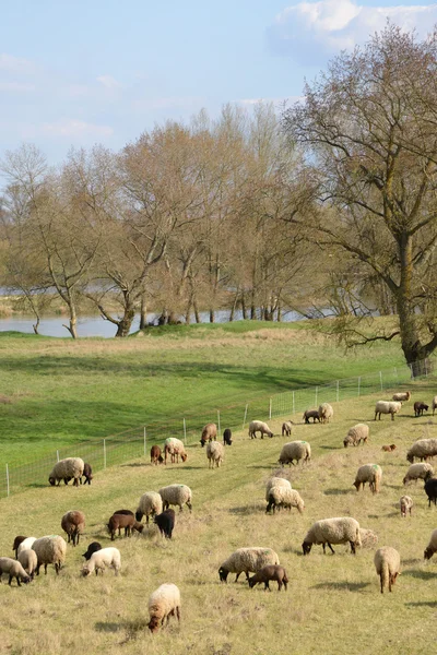 Cidade pitoresca de Briare em Loiret — Fotografia de Stock