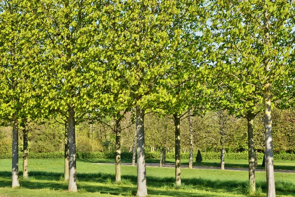 Fransa, pitoresk castle park Saint Germain en Laye — Stok fotoğraf