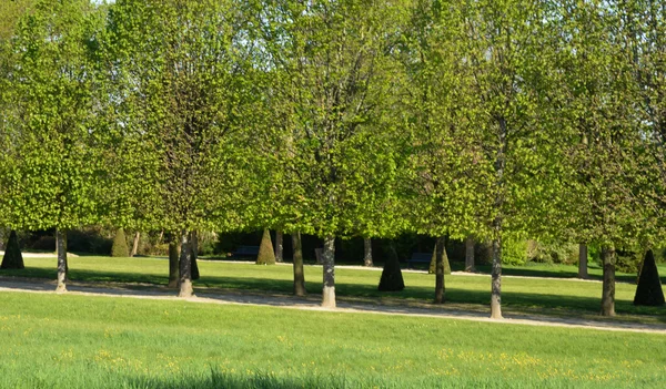 Франція, мальовниче місто Санкт Жермен-ан-ле — стокове фото