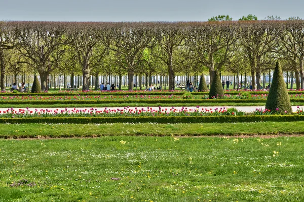 프랑스, 아름 다운 성 공원 세인트 제르맹 엉 Laye — 스톡 사진