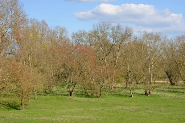 Ville pittoresque de Briare dans le Loiret — Photo