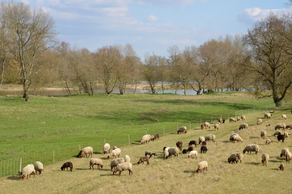 Picturesque city of Briare in Loiret — Stock Photo, Image