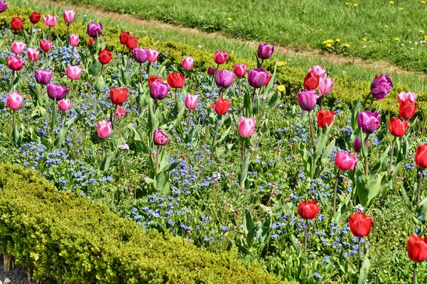 France, le pittoresque parc du château de Saint Germain en Laye — Photo