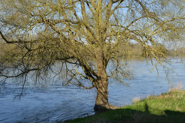 Ville pittoresque de Briare dans le Loiret — Photo