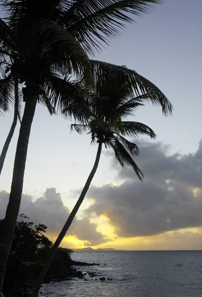 De kust van le diamant in martinique — Stockfoto