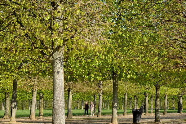 France, the picturesque city of Saint Germain en Laye — Stock Photo, Image