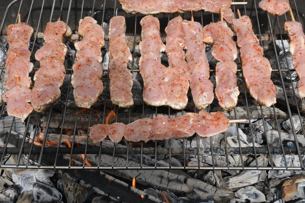 Γαλλία, κοντινό πλάνο chiken κρέας στη σχάρα — Φωτογραφία Αρχείου