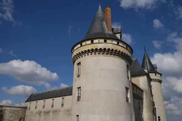 Picturesque city of Sully sur Loire in Loiret — Stock Photo, Image