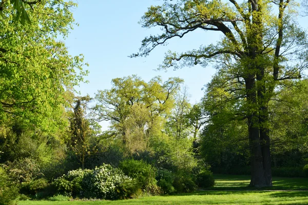 Fransa, saint germain en laye pitoresk kenti — Stok fotoğraf