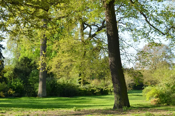 Francie, malebné město saint germain en laye — Stock fotografie