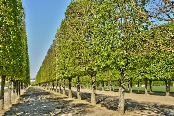 Fransa, pitoresk castle park Saint Germain en Laye — Stok fotoğraf