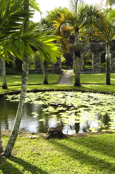 Martinique pitoresk konut yapımını Anse Latouche bahçede — Stok fotoğraf