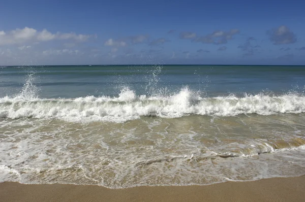 フランス、マルティニク、サリンス サントのビーチ アン — ストック写真