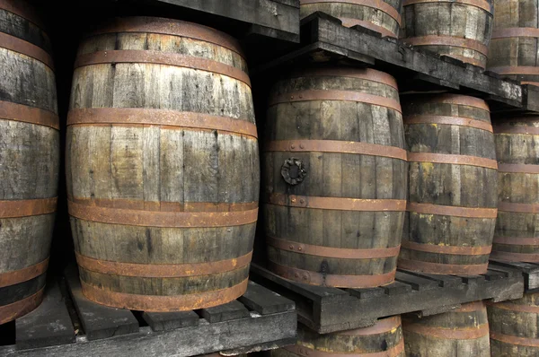 Rum barrels — Stock Photo, Image