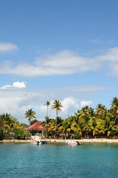 Bordo de mar de Les Saintes em Guadalupe — Fotografia de Stock