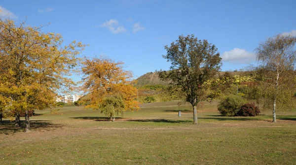 Fransa, Les Mureaux parkta Sautour — Stok fotoğraf