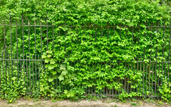 Frankreich, die gros murs straße in les mureaux — Stockfoto