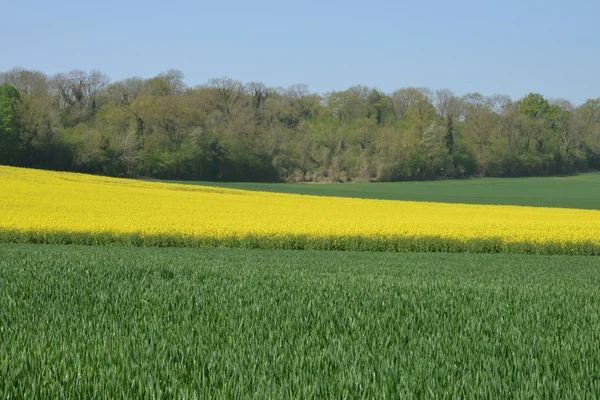 France, the picturesque village of Longuesse — Stock Photo, Image