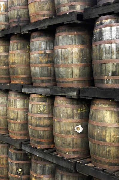 Rum barrels — Stock Photo, Image