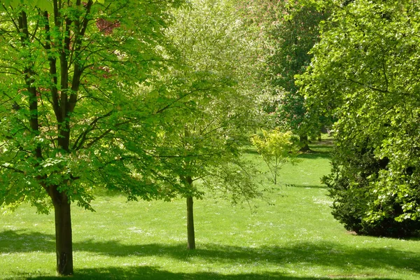 Ile de France, pintoresca ciudad de Poissy — Foto de Stock