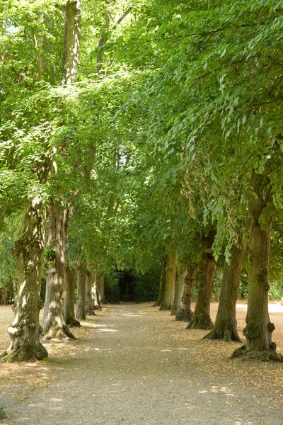 Frankrijk, de schilderachtige abdij van Royaumont in Val d Oise — Stockfoto