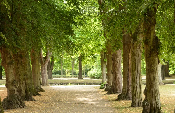 Fransa, Royaumont pitoresk abbey Val d Oise — Stok fotoğraf