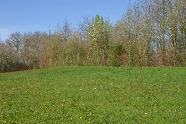 Frankreich, malerische landschaft von saint cyr sur menthon — Stockfoto