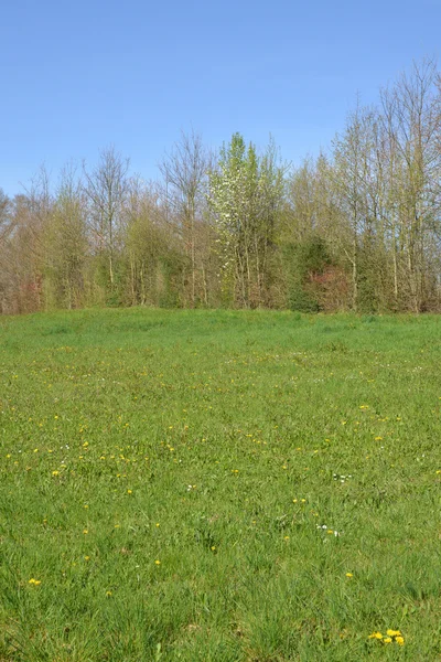 Frankreich, malerische landschaft von saint cyr sur menthon — Stockfoto