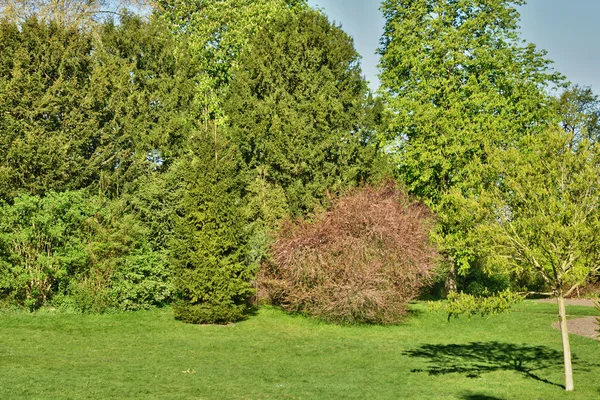 Francia, el pintoresco parque del castillo de Saint Germain en Laye — Foto de Stock